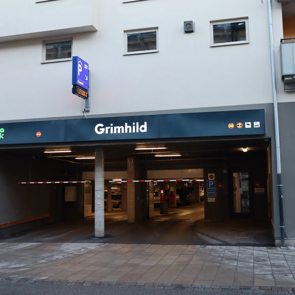 half-media-kungasangen-1313